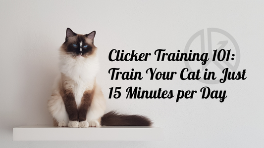 Clicker Training 101: Train Your Cat in Just 15 Minutes per Day