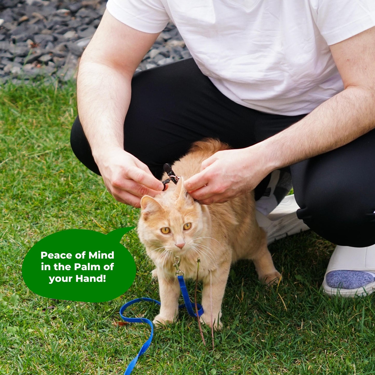 Tile Sticker Holder Cat Tracking Collar