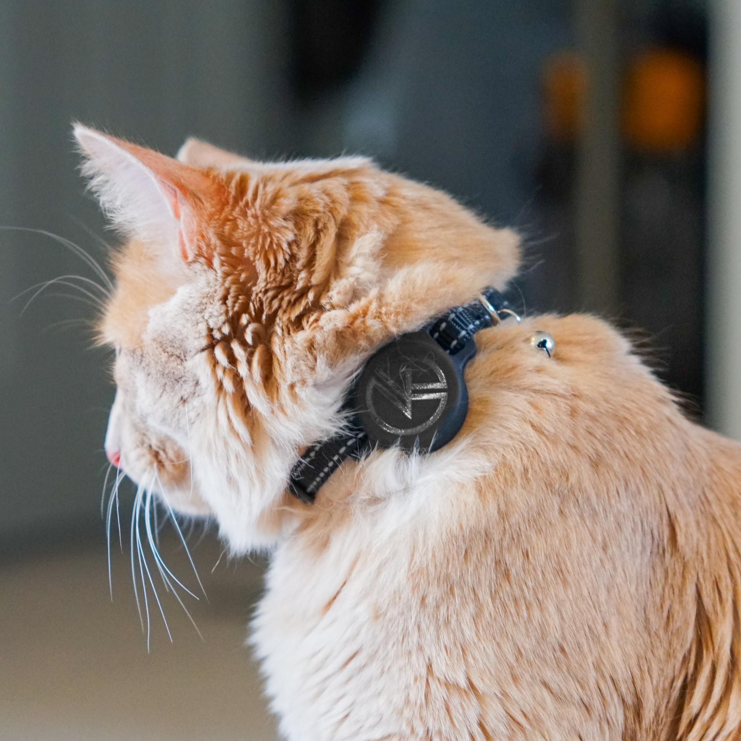 Cat track clearance collar