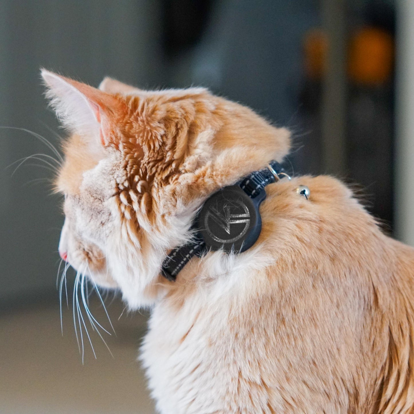 Airtag Holder Cat Tracking Collar