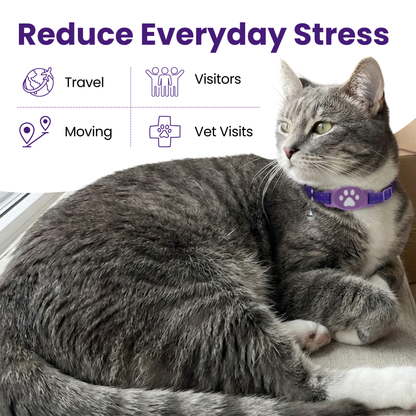 Breakaway Calming Collar for Sensitive Cats - Unscented Formula