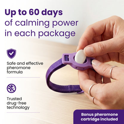 Breakaway Calming Collar