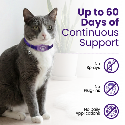 Breakaway Calming Collar for Sensitive Cats - Unscented Formula