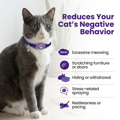 Breakaway Calming Collar